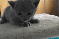 IMG20260527114437